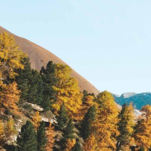 Mountaineering looked up one of the more obscure Latin words